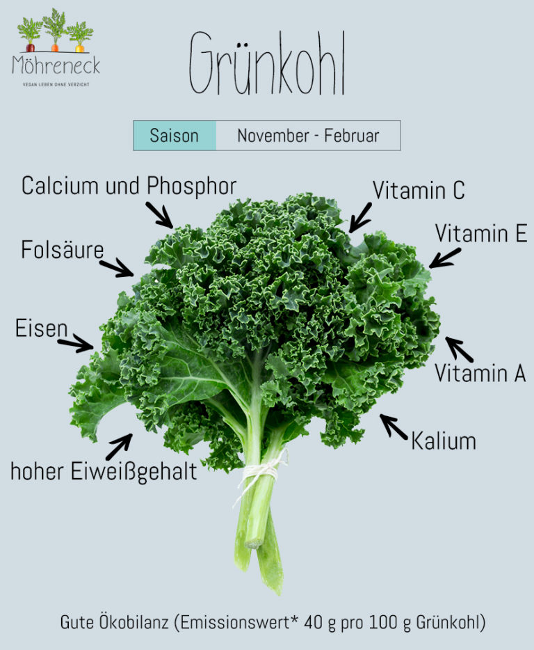 Warenkunde - Grünkohl - Möhreneck